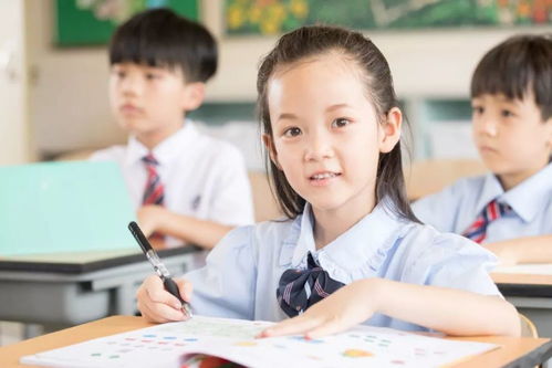 北師大教育資源點亮中鐵閱山湖 云著九年制公立學(xué)校的幸福教育服務(wù)