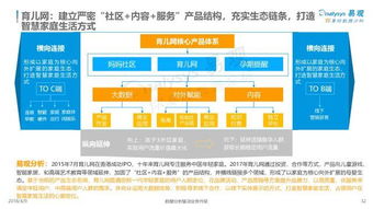 中國互聯(lián)網(wǎng)母嬰市場年度綜合分析2018 教育服務(wù)