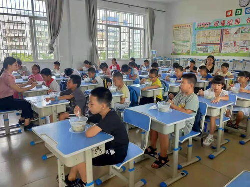 聚教育服務之力 解家長看管之困——我市校內暑期托管服務惠及千家萬戶