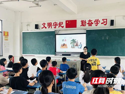 以賽促教強師能，衡東教育管理服務中心舉辦教學能手大賽